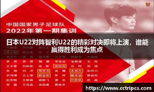 3377官网