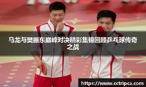 3377官网