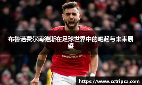3377官网
