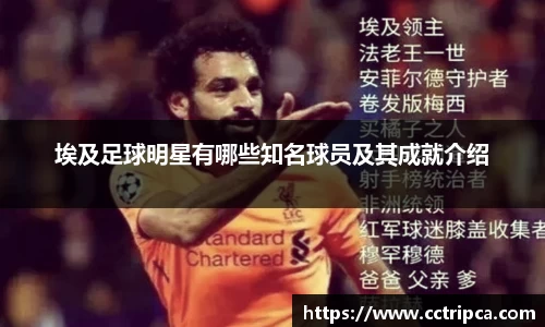 埃及足球明星有哪些知名球员及其成就介绍